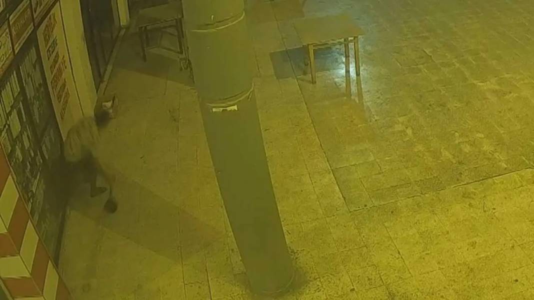 Adana’da Hırsızlık Zincirini Güvenlik Kameraları Ortaya Koydu! 5